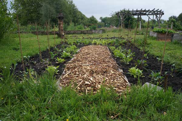allotment in Greater Manchester