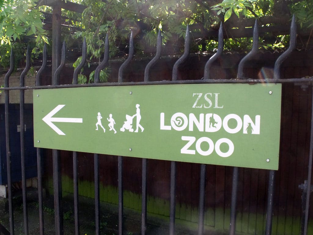 London's zoo struggles with Coronavirus. Published at The Green Bee: Eco-Journalism. Author: Juanele Villanueva