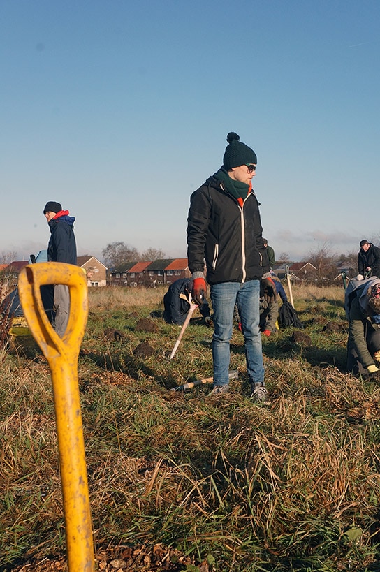 volunteer planting trees