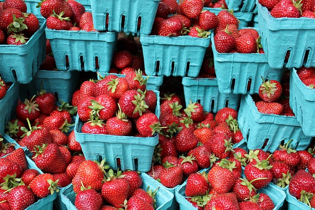 Harvest stalks the UK. Berry season is April to May