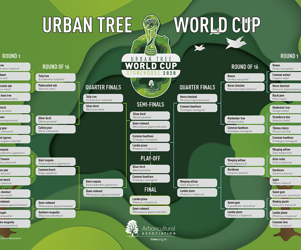 #UrbarnTreeWorldCup brackets. Organised by Arboricultural Association. Published at The Green Bee: Eco-Journalism. Author Juanele Villanueva. #UrbanTreeWorldCup