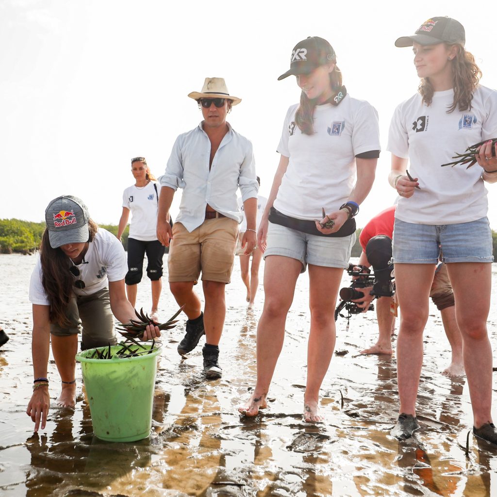 Extreme E equipo plantando manglares. En un trabajo de reforestación antes de la carrera el equipo ha plantado un millón de manglares para ayudar contra la subida del nivel del mar