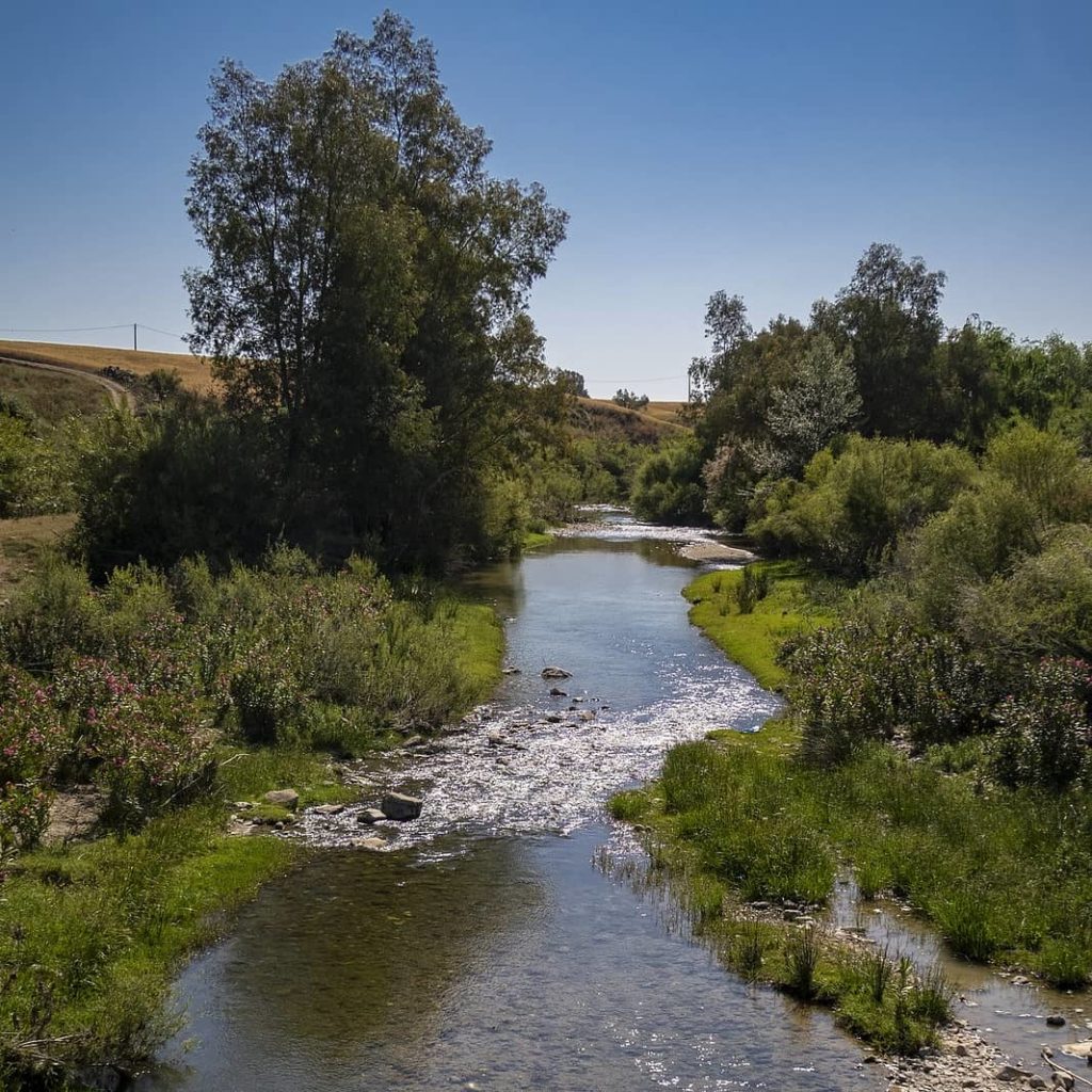 Fresh water stream in Malaga province. These wildspaces might be in risk if solar farms go ahead