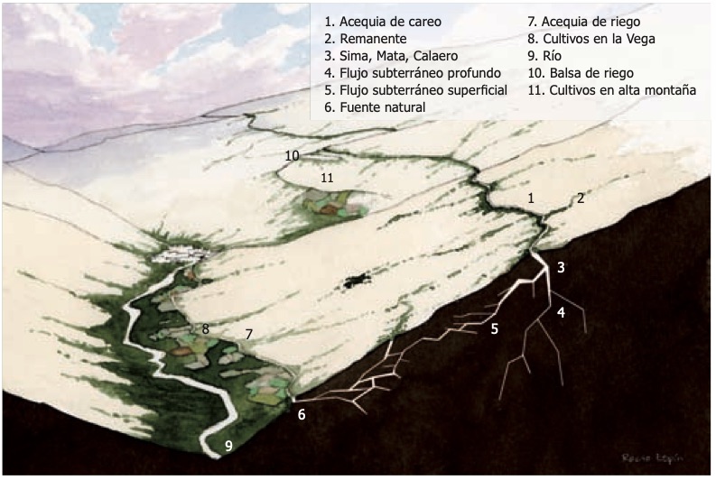 Esquema de las partes de una acequia de careo