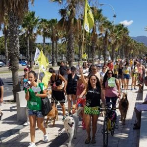 Animalist party Pacma calls a demonstration in huelin claiming a beach for dogs in Málaga
