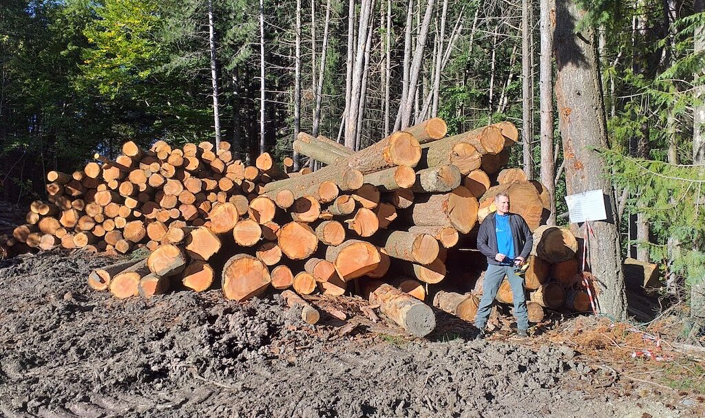 Abandono de los bosques, técnico forestal de COITF delante de troncos