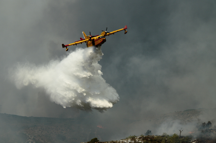 árboles en españa, servicios de emergencia durante un incendio forestal