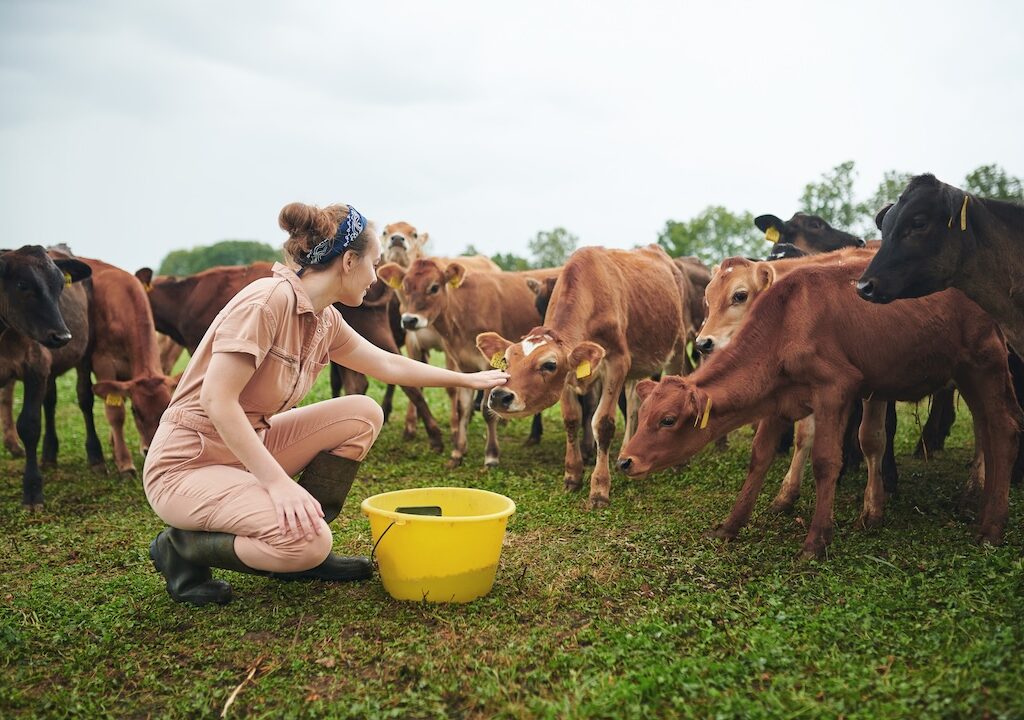 mujer en el mundo rural, joven ando de come a sus vacas