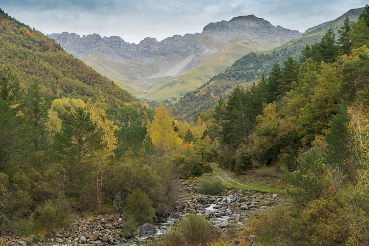 árboles en españa, Ordesa Huesca