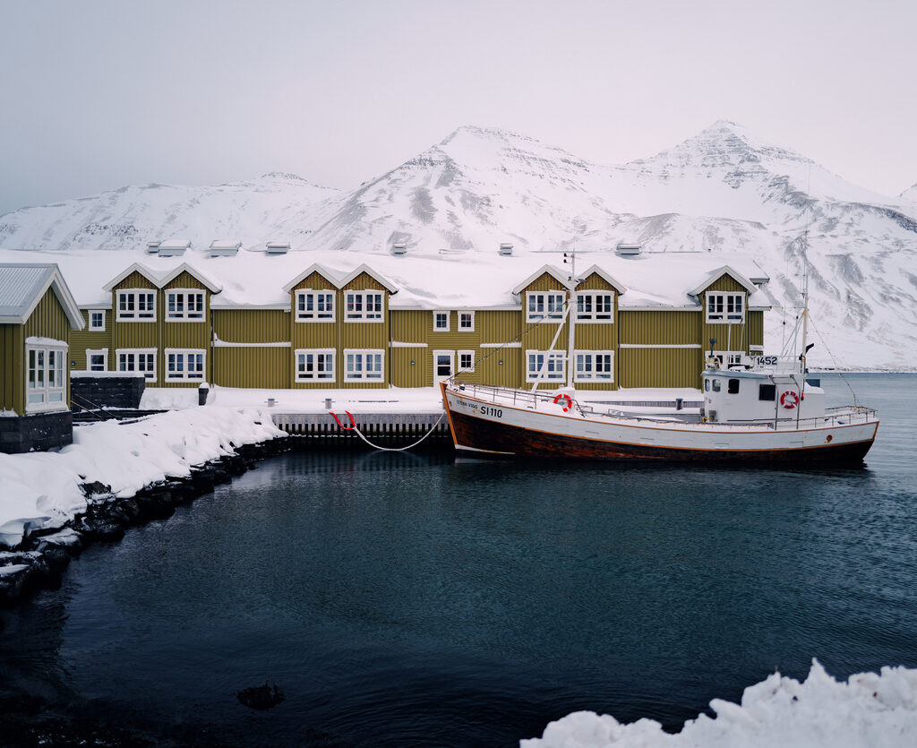 Mosquitos en Islandia, probablemente llegaron en buques de transporte