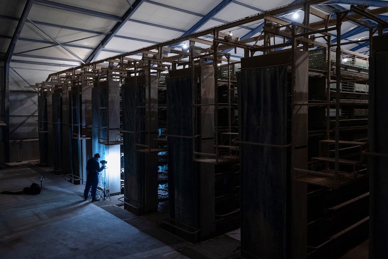 Fotógrafo durante una sesión fotográfica encubierta del bienestar animal