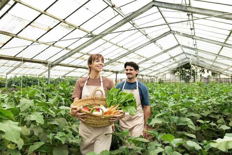 La guerra de irán sube el precio de la comida especialmente en frutas y hortalizas. iStock